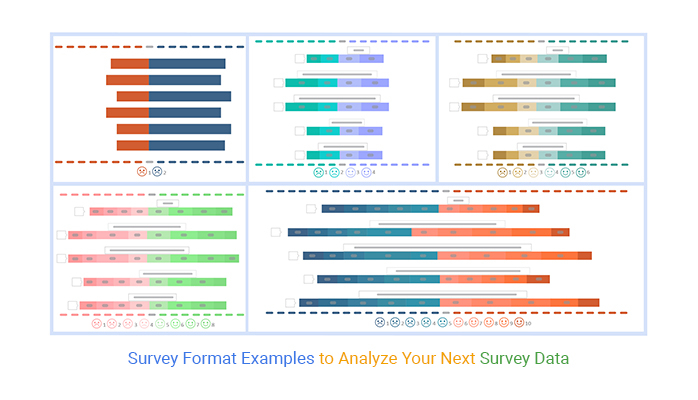 Survey Format Examples to Analyze Your Next Survey Data